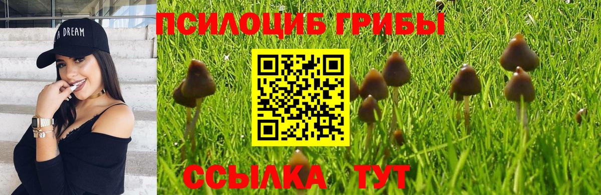 ГАШИШ  Канабис  Магазины продажи наркотиков  Мефедрон   NBOMe  Чехов  Вход с VPN 