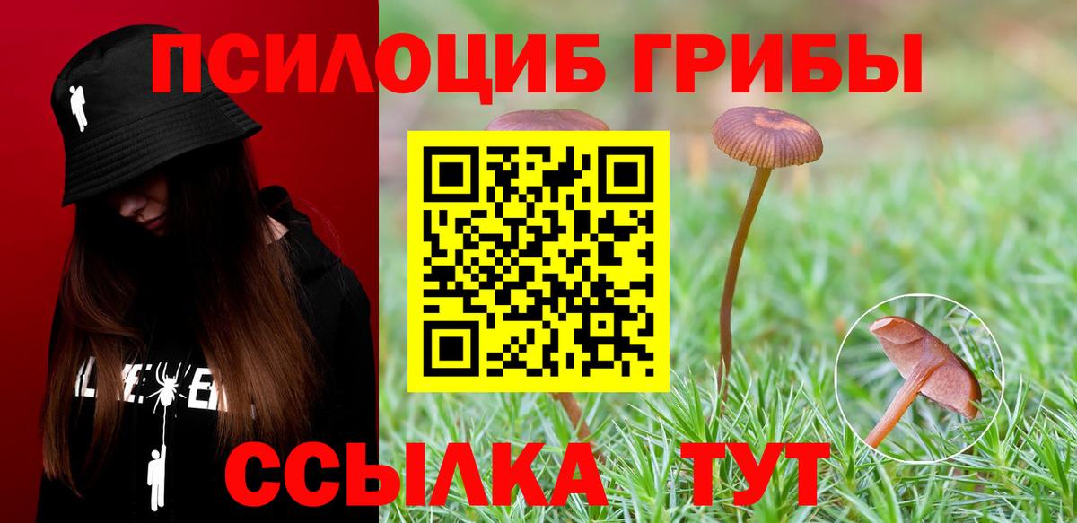 Галлюциногенные грибы прущие грибы Чехов
