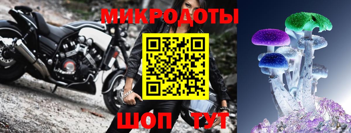 Галлюциногенные грибы MAGIC MUSHROOMS  Вход с VPN  Чехов 